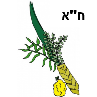 Chazon Ish Set